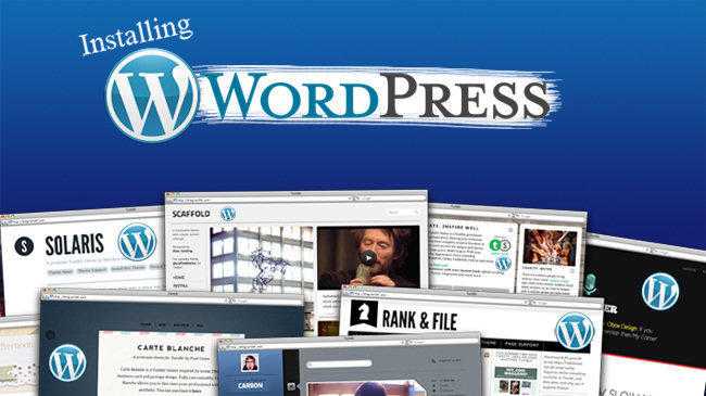 WordPress, theme, domain name, hosting only 89