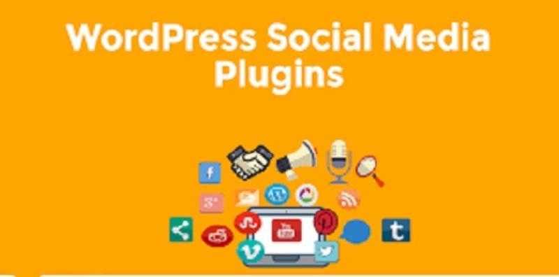 WordPress to Social Media Plugins