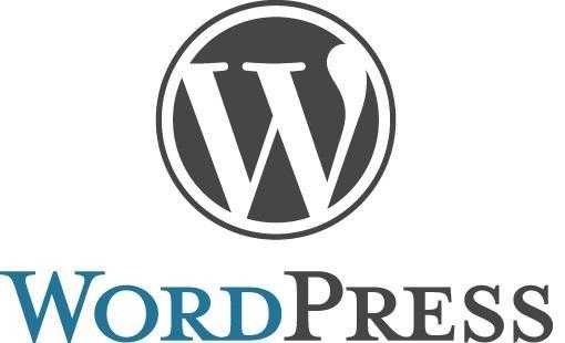 WordPress Website Development  WordPress Plugins Development Services