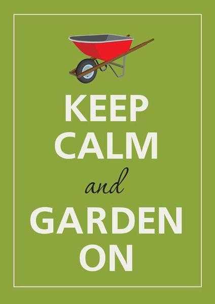 WORTHING GARDENER........   BRING YOUR GARDEN BACK TO LIFE