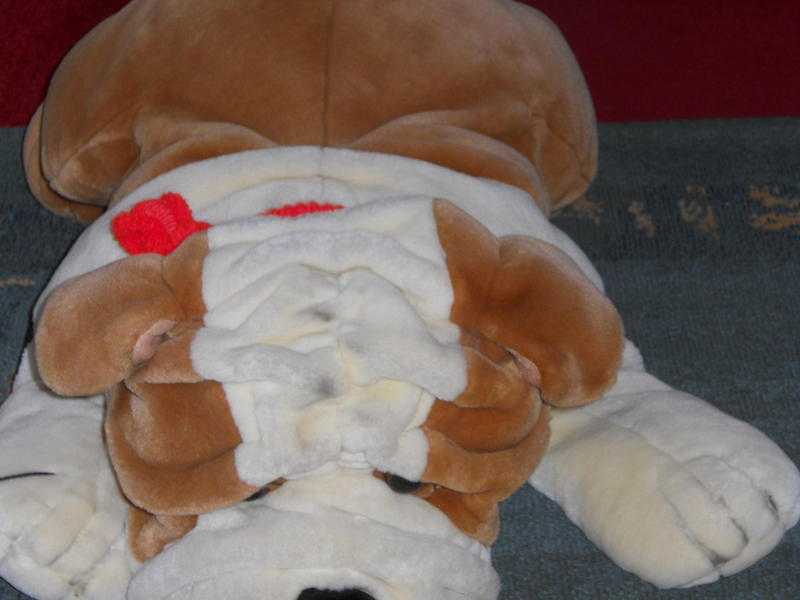 Wrinkle face dog (soft toy)