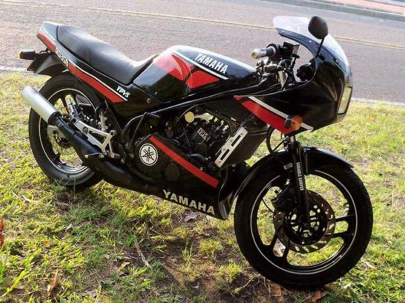 Yamaha RD 1988