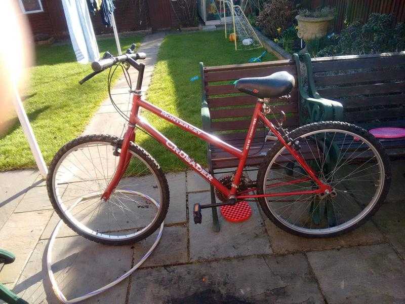 young adult teenager bike