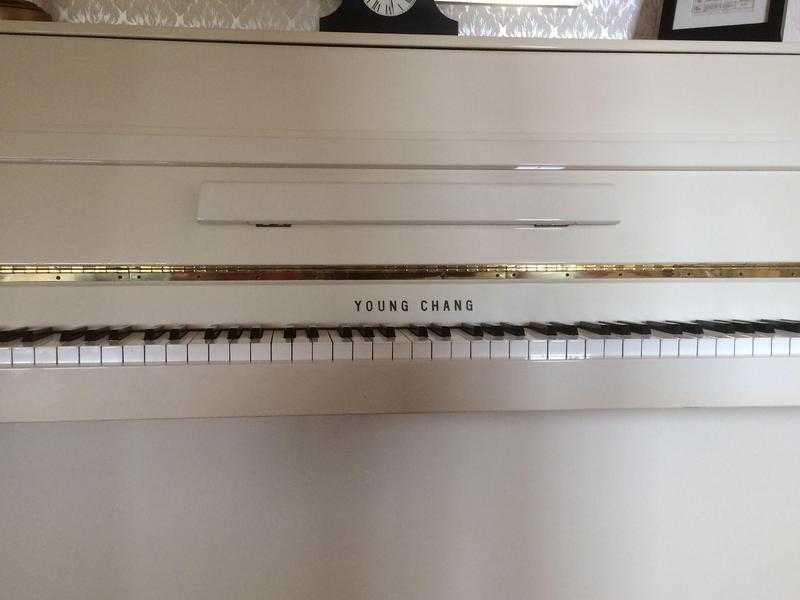 Young Chang white and gold piano