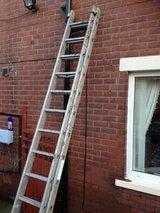 Youngman Builders extension ladders