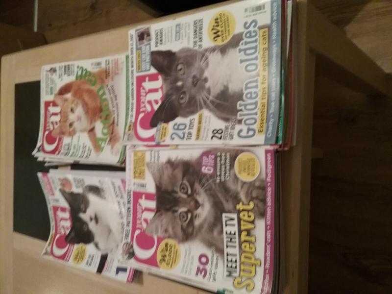 Your Cat Magazines