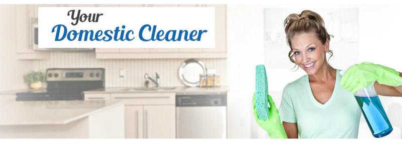 Your Domestic Cleaner