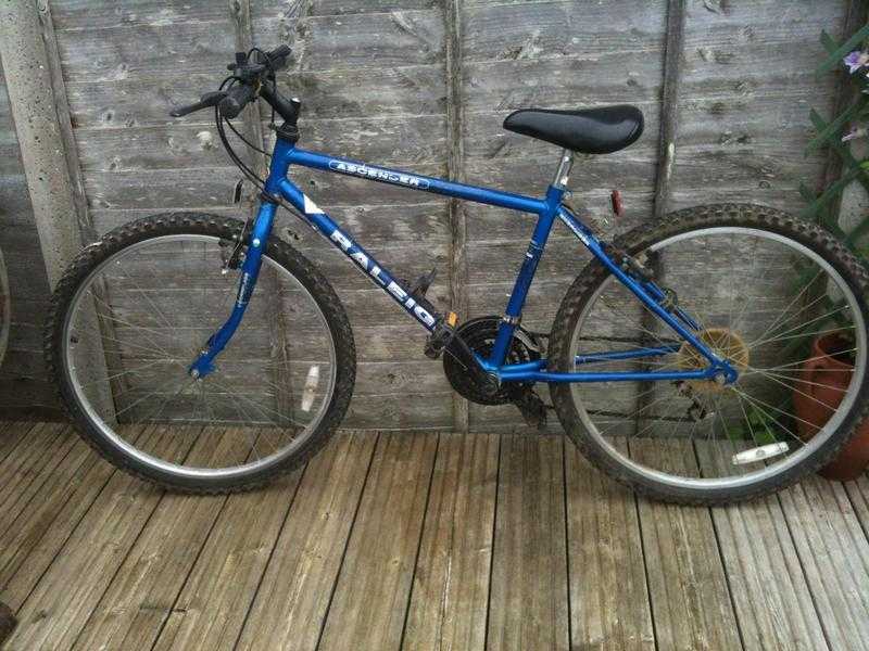 YouthAdult039s Raleigh Bicycle