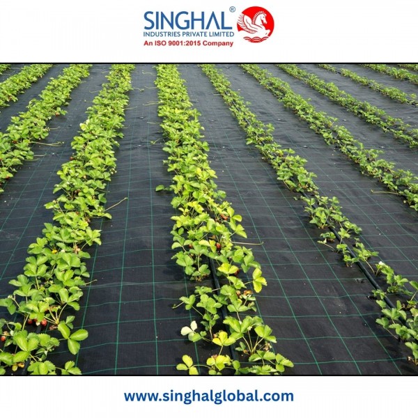 Weed Mat Ideal for Landscaping and Crop Cultivation