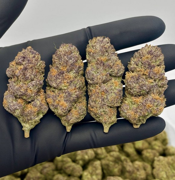 BUY 99% PURE GBL, GHB, PSYCHEDELIC, MDMA, CRYSTAL METH, DMT Carts, LSD, METH, THC Vape, CBD, Marijuana/Cannabis, Xanax, Molly, Weed, OXY, Crystal Ketamine, Ecstasy, Researched Chemicals, Magic mushroo