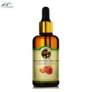 BioProGreen – Exporting Innovative Prickly Pear Seed Oil Solutions