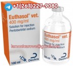 +15673430615.Buy Sodium Pentobarbital 400Mg/Ml Injection In Scotland