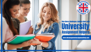 University Assignment Helpers connect with transforming and achieving academic success