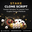 Stake Clone ***** - Key to your crypto casino platform dream