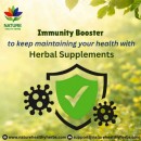 Best Immunity Booster to boost your health with herbal supplements 