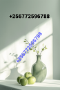 Money doubling spells and money spells call +256772596788 Sister Jane